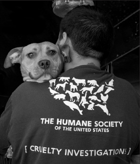Humane Society picture